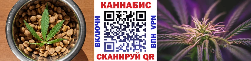 KRAKEN сайт  купить наркотики сайты  Шебекино  Cannafood конопля 